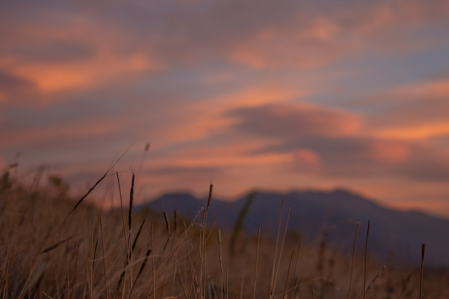 sharply focused dry grass with blury mountain and sunset lit clouds